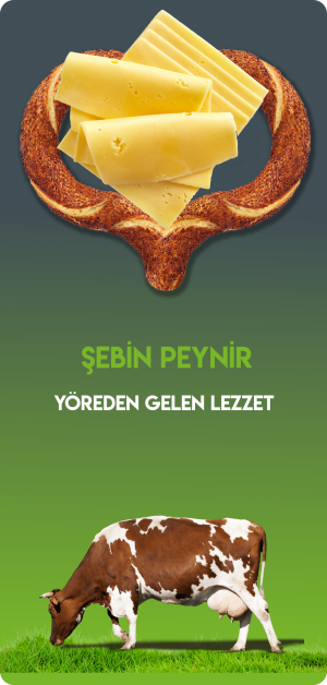 ŞEBİN PEYNİR