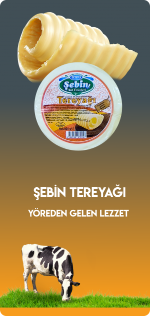 ŞEBİN TEREYAĞI