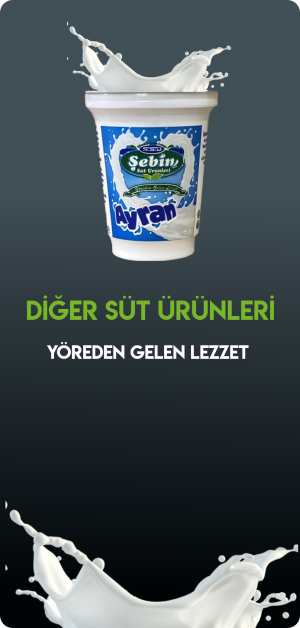 ŞEBİN DİĞER SÜT ÜRÜNLERİ